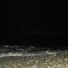 beach-site40