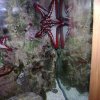oceanarium-riviera11