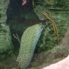 oceanarium-riviera12