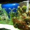 oceanarium-riviera19