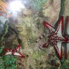 oceanarium-riviera20