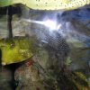 oceanarium-riviera22