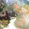 oceanarium-riviera24
