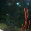oceanarium-riviera26