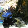 oceanarium-riviera28