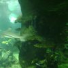 oceanarium-riviera3