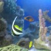oceanarium-riviera30