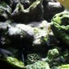oceanarium-riviera37