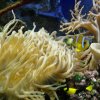 oceanarium-riviera45