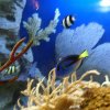 oceanarium-riviera46