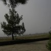 pitsunda7