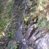 Водопад «Девичьи слезы» - по пути на Красную поляну 