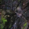 Водопад «Девичьи слезы» - по пути на Красную поляну